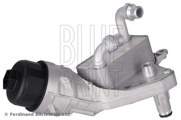 ADBP210181 BLUE PRINT
